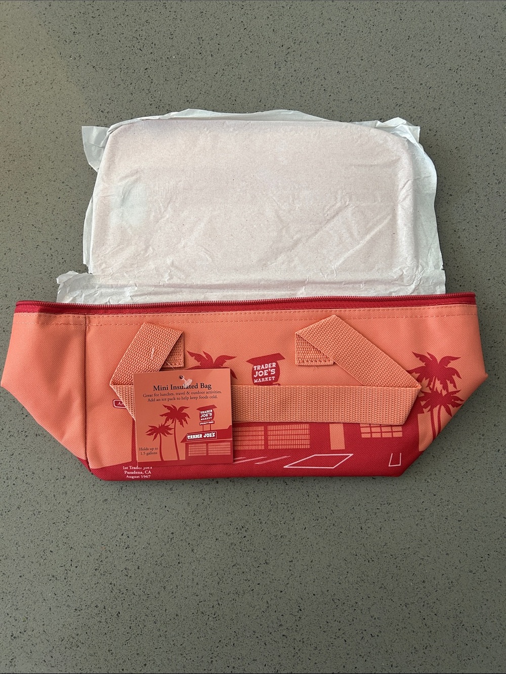 Trader Joe's Coral & Red Mini Insulated Cooler Bag